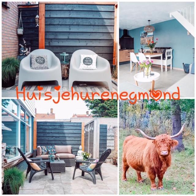 אגמונד אן זי B&B Joeys Place מראה חיצוני תמונה